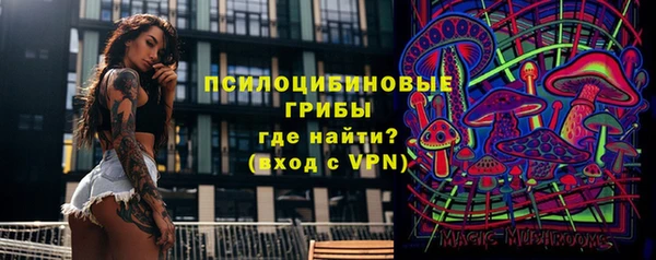 прущие крисы Апатиты