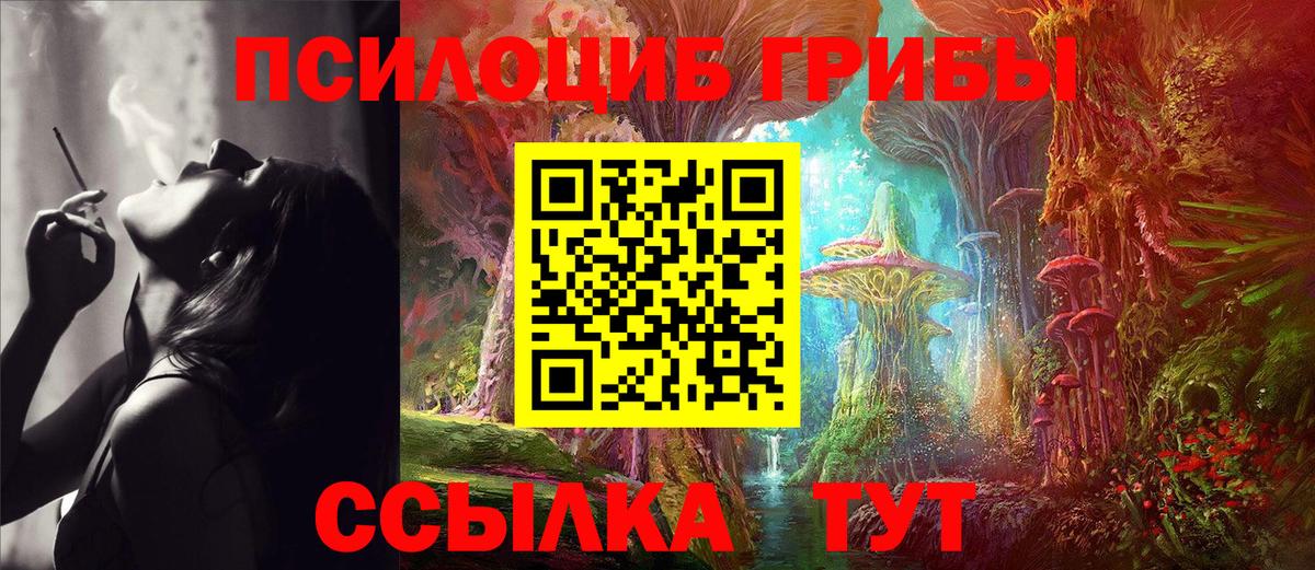 Псилоцибиновые грибы Cubensis  Вход с VPN  Орск  Галлюциногенные грибы прущие грибы 